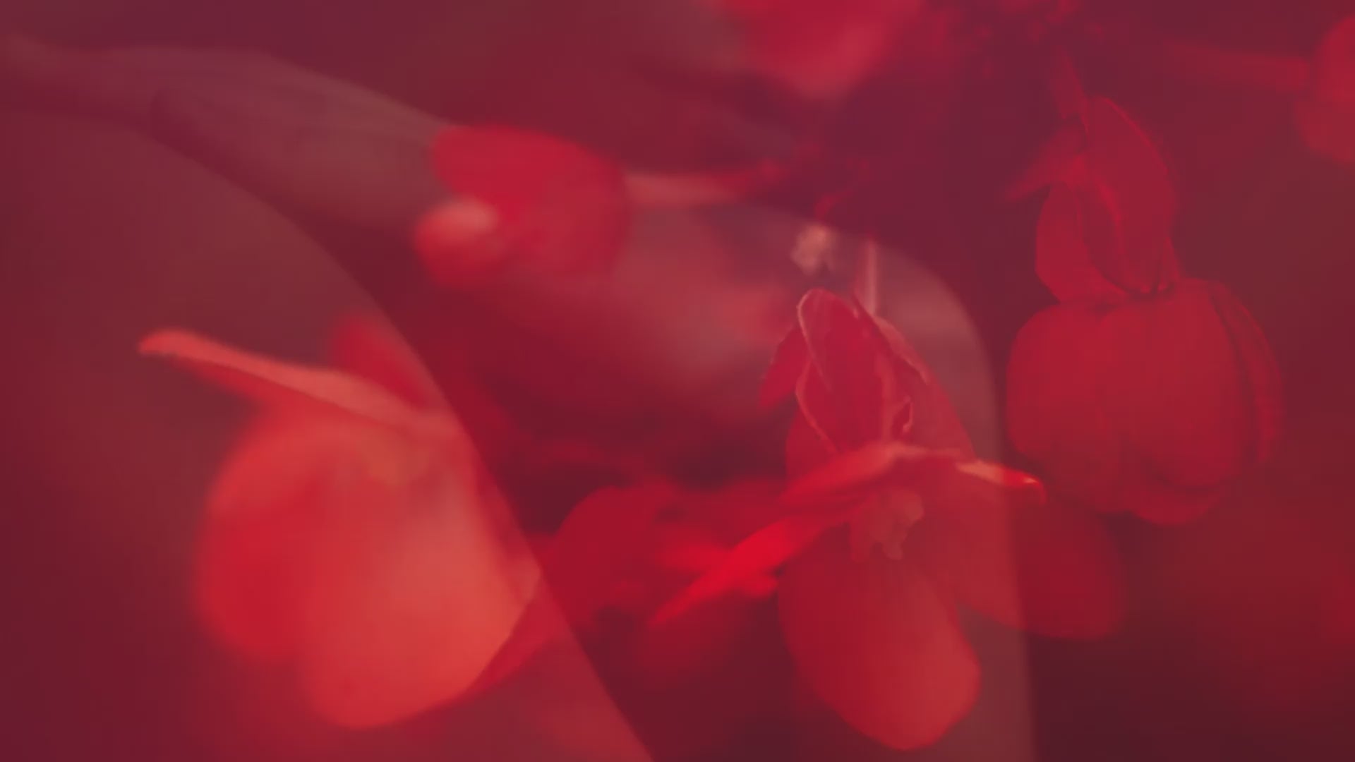 Sanguin's powerful and holistic period pain salve, for natural menstrual pain relief